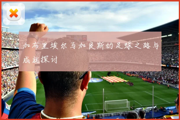 加布里埃尔马加良斯的足球之路与成就探讨
