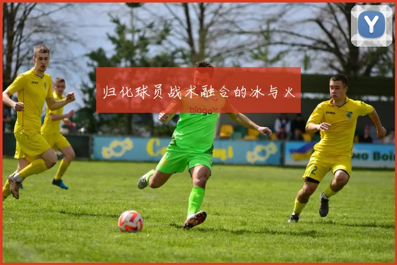 归化球员战术融合的冰与火