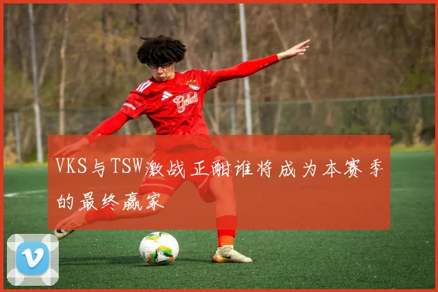 VKS与TSW激战正酣谁将成为本赛季的最终赢家