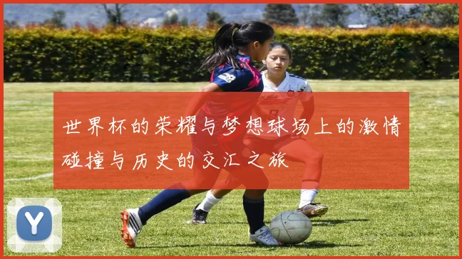 世界杯的荣耀与梦想球场上的激情碰撞与历史的交汇之旅