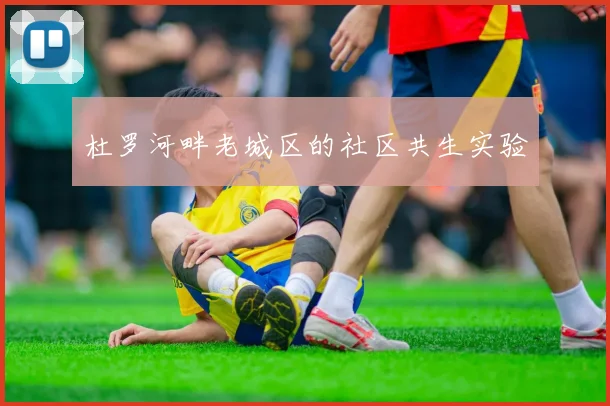 杜罗河畔老城区的社区共生实验